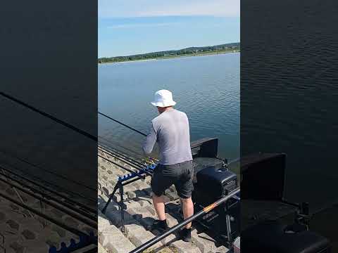 В полной боевой готовности на турнир "BIG BREAM"??