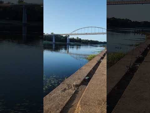 Рыбалка на набережной р.Сож