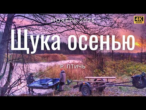 Ловим щуку поздней осенью на джиг и воблеры на реке Птичь в Беларуси 