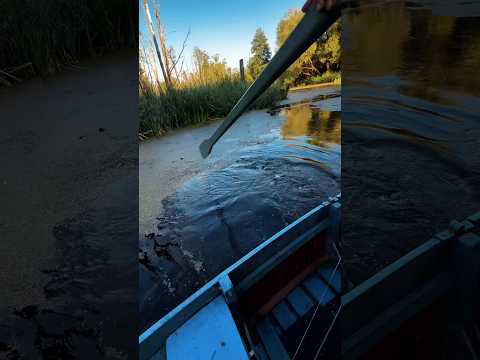 #fishing #рыбалка #старица #лодка #неман