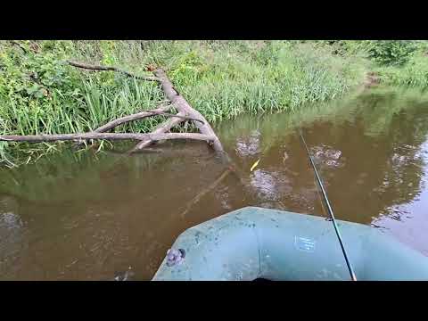 Неман, спиннинг, жерлицы. Красотища, щука клевала!